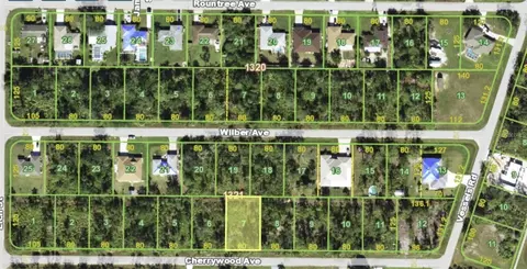 23308 Cherrywood Ave, Punta Gorda, FL 33980