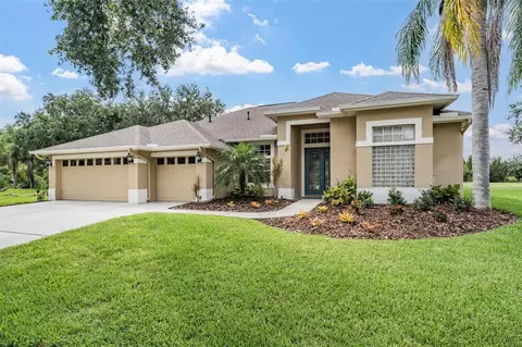 19118 Mandarin Grove Pl, Tampa, FL 33647