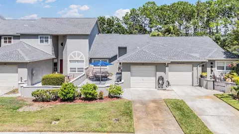141 Hunter Ct, Palm Harbor, FL 34684