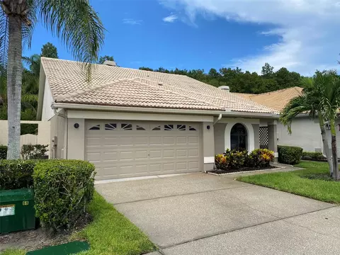 3664 Darston St, Palm Harbor, FL 34685