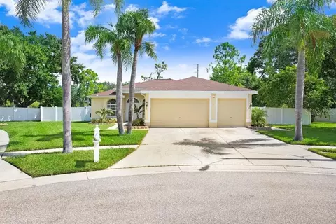 8708 Eagle Cove Ct, Tampa, FL 33635