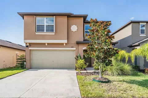 17893 Cloudless Bliss Dr, Lutz, FL 33558