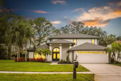 14102 Riverstone Dr, Tampa, FL 33624