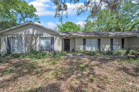 2210 Wallwood Pl, Brandon, FL 33510