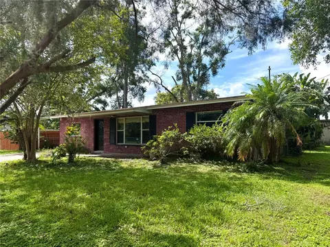 7618 Alvina St, Tampa, FL 33625
