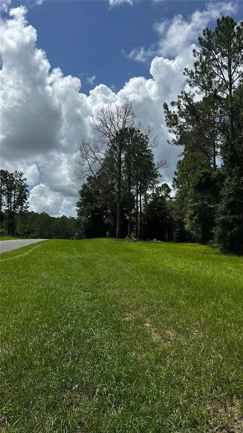 35501 Pinegate Trl, Eustis, FL 32736