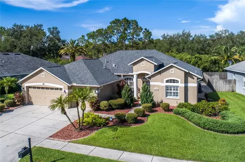 12524 Leatherleaf Dr, Tampa, FL 33626