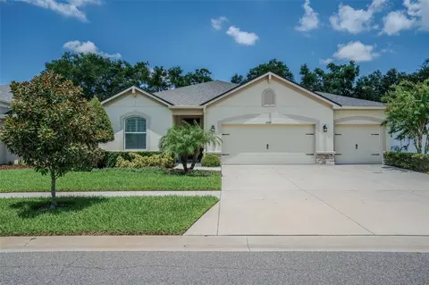 2526 Valley Sunset Ln, Valrico, FL 33594