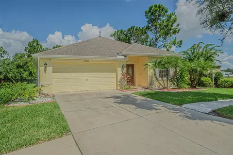 20520 Sultana Ct, Tampa, FL 33647