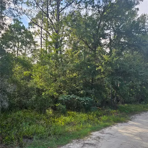4532 N Mitchum Pt, Crystal River, FL 34428