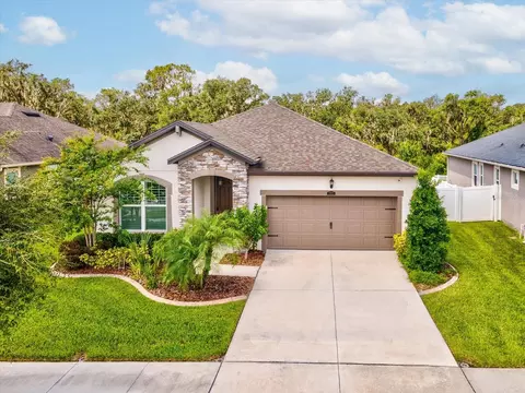 12925 Satin Lily Dr, Riverview, FL 33579