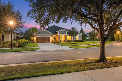 33536 Willow Point Ct, Wesley Chapel, FL 33545