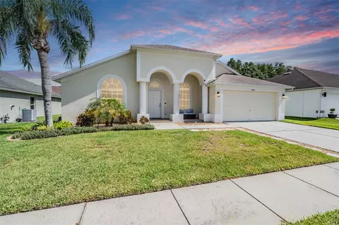 18143 Palm Breeze Dr, Tampa, FL 33647