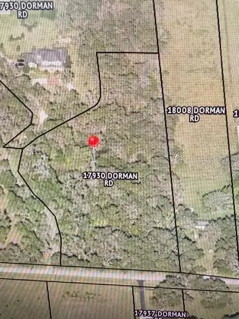 17930 Dorman Rd, Lithia, FL 33547
