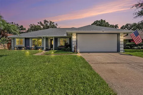 15146 Springview St, Tampa, FL 33624
