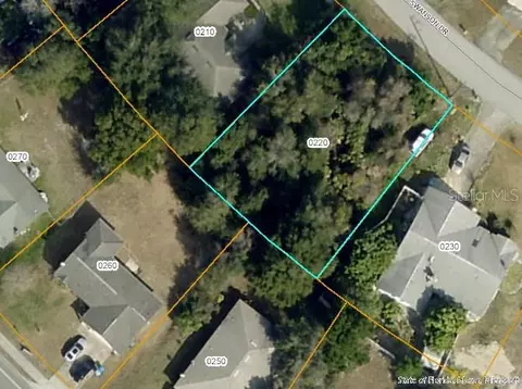 1010 Swanson Dr, Deltona, FL 32738