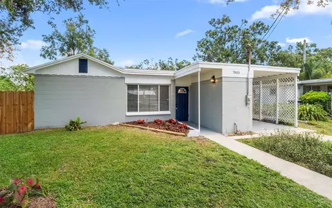 7805 N N Blvd, Tampa, FL 33604