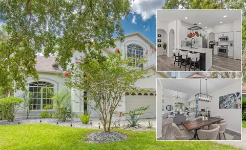 13207 Royal George Ave, Odessa, FL 33556