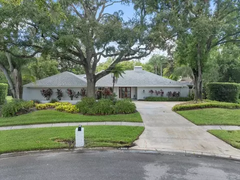 4205 Wayside Willow Ct, Tampa, FL 33618