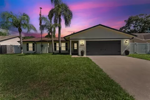 5815 Bitter Orange Ave, Tampa, FL 33625