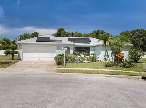 2431 Pinetta Ct, Holiday, FL 34691