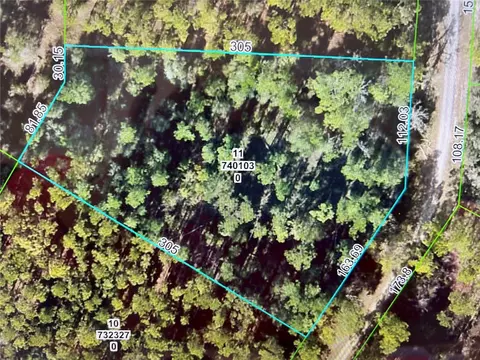 Softstone Drive, Webster, FL 33597