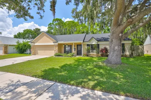 3724 Murray Dale Dr, Valrico, FL 33596