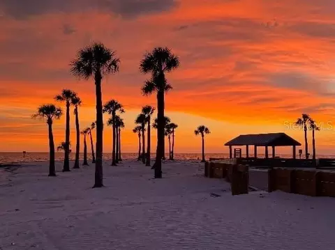 3314 Fernleaf Dr, Hernando Beach, FL 34607 photo 12