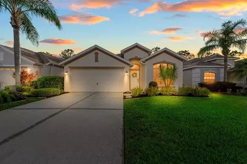 3203 Banyan Hill Ln, Land O Lakes, FL 34639