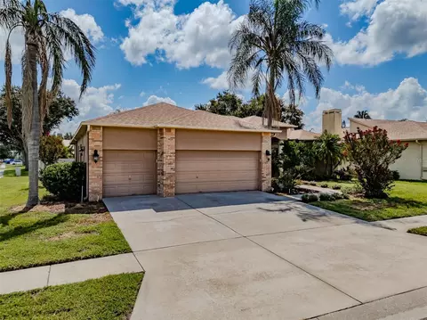 4401 Blantyre Pl, Valrico, FL 33596