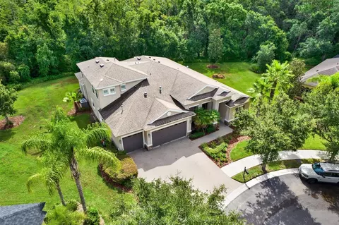 10015 Hazelnut Ct, Tampa, FL 33647
