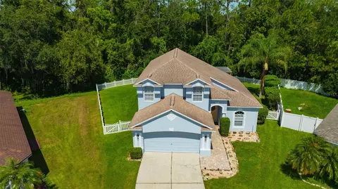6411 Open Pasture Ct, Wesley Chapel, FL 33545