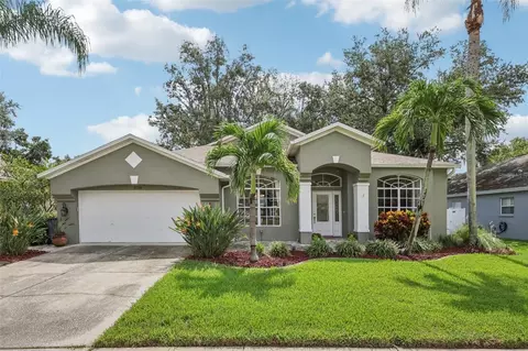 3710 Treeline Dr, Valrico, FL 33596