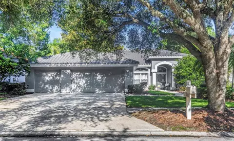 17818 Hickory Moss Pl, Tampa, FL 33647