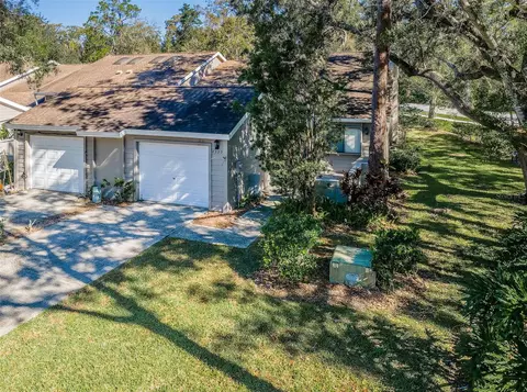 4399 Brooker Creek Dr, Palm Harbor, FL 34685
