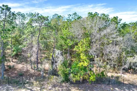 Honeycreeper Road, Brooksville, FL 34614