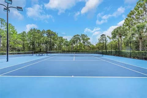 Other - 14818 Edgemere Dr, Spring Hill, FL 34609 photo 14 of 15