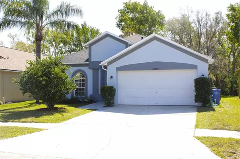 12510 Sparkleberry Rd, Tampa, FL 33626
