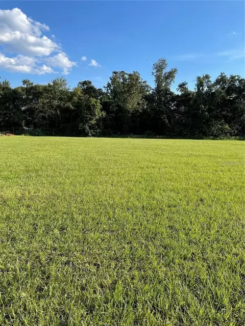 12705 Mcintosh Groves Ln, Thonotosassa, FL 33592