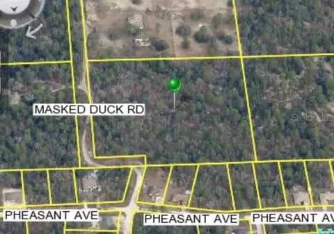 Masked Duck Road, Brooksville, FL 34614