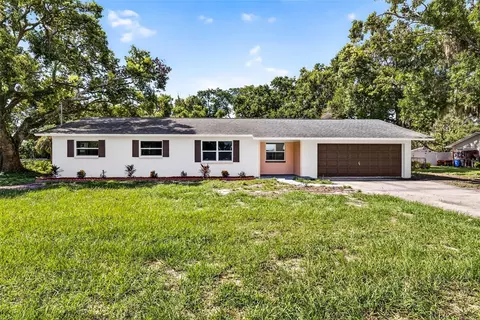 12415 Palm Tree Dr, Thonotosassa, FL 33592
