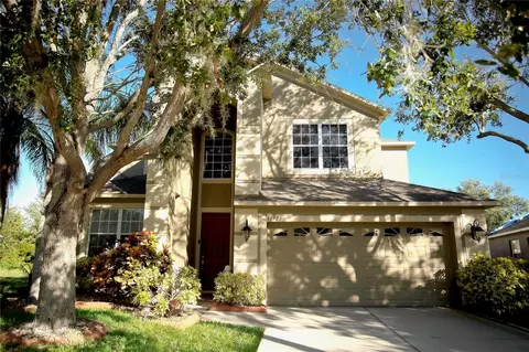 11521 Addison Chase Dr, Riverview, FL 33579 photo 1
