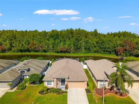 4433 Marchmont Blvd, Land O Lakes, FL 34638