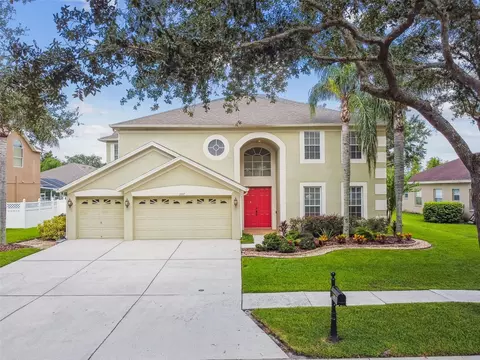 19107 Mandarin Grove Pl, Tampa, FL 33647