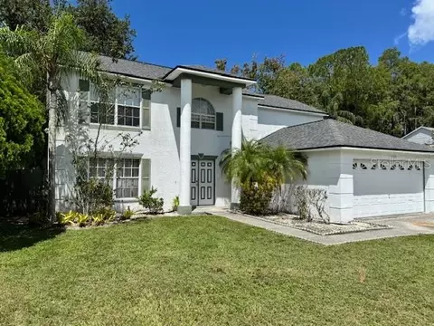 7051 Woodibis Dr, New Port Richey, FL 34654