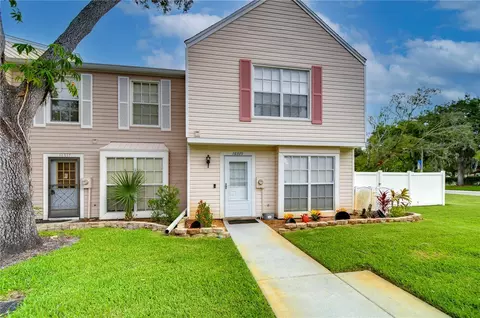 16335 Rambling Vine Dr W, Tampa, FL 33624