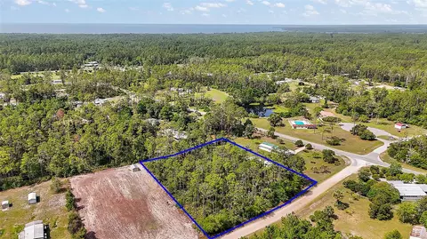 203 Ponderosa Pine Ct, Georgetown, FL 32139