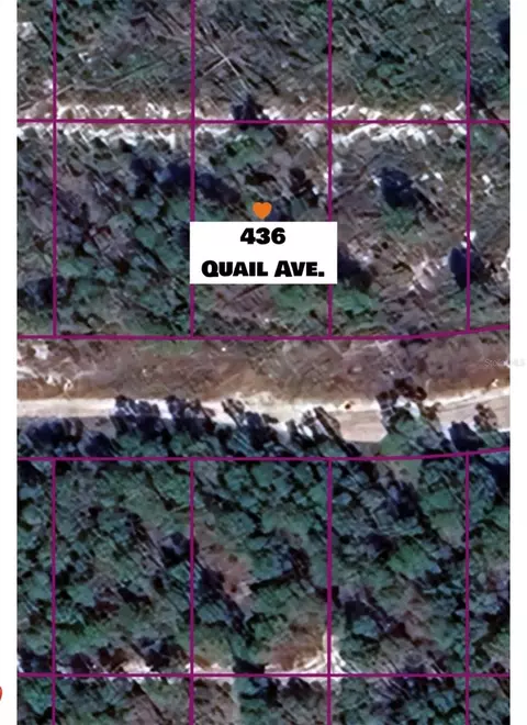 436 Quail Ave, Sebring, FL 33870