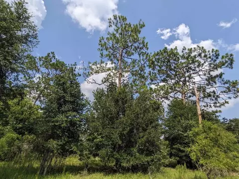 SE 37th Trail, Trenton, FL 32693