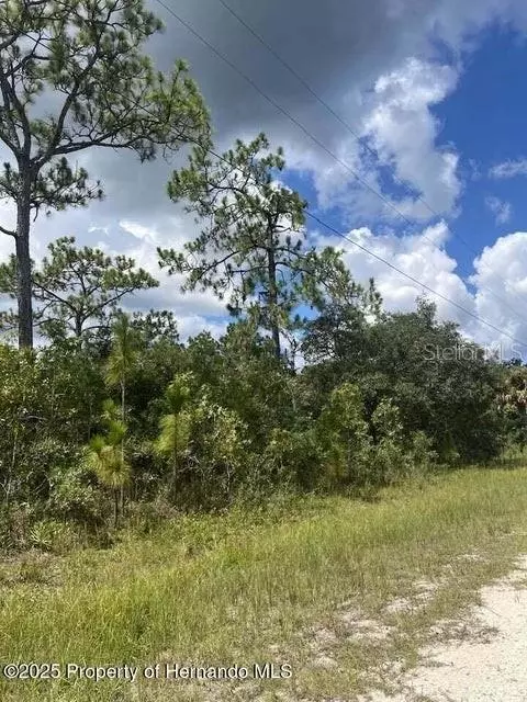 0 0 Yellow Frog Ave, Weeki Wachee, FL 34614